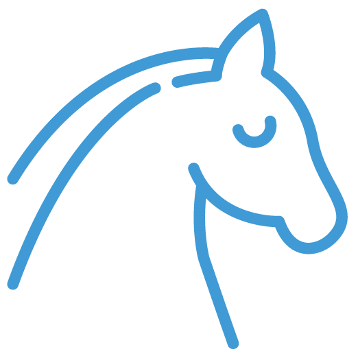 rispetto per i cavalli