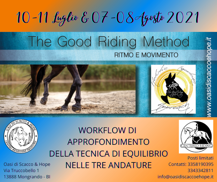 CLINIC RITMO E MOVIMENTO 2021