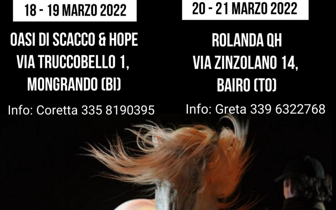 Clinic con Michael Wanzenried