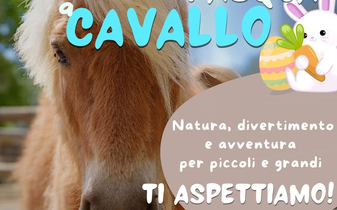 VACANZE DI PASQUA IN OASI